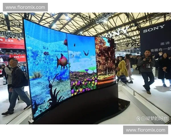 免费高清直播:畅享视觉盛宴的未来新体验 免费高清直播:畅享视觉盛宴的未来新体验